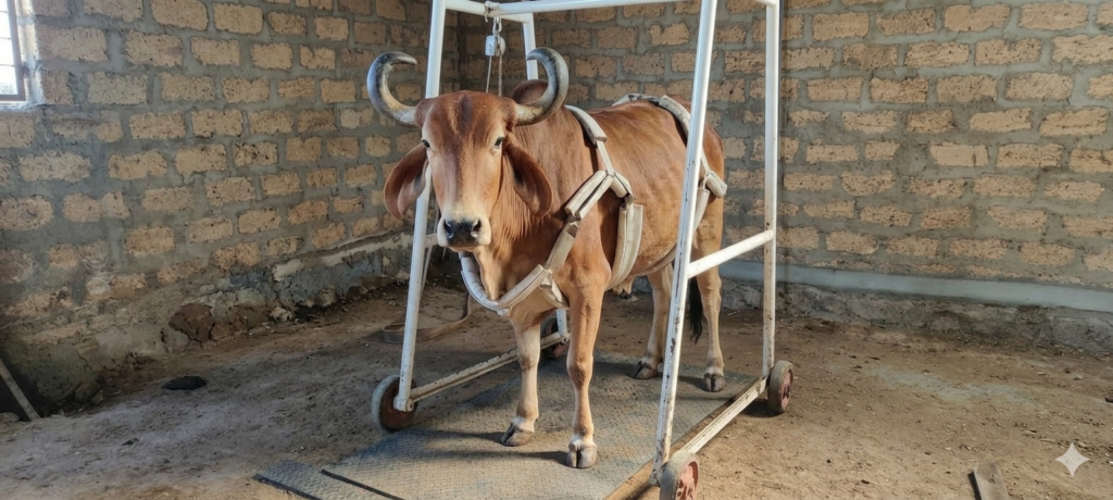 gemini generated image lfnsmelfnsmelfns